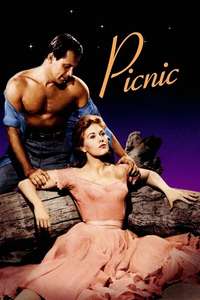 Picnic - Poster