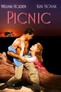 Picnic - Poster