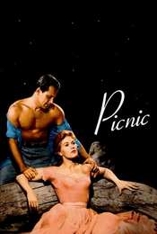 Picnic