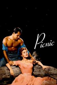 Picnic - Poster