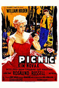 Picnic - Poster