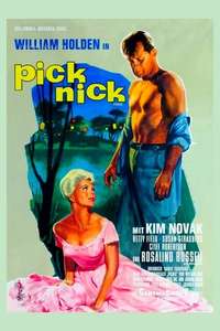 Picnic - Poster