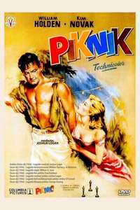 Picnic - Poster