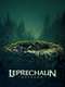 Leprechaun Returns