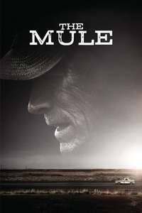 The Mule - Poster