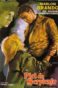 The Fugitive Kind - Poster