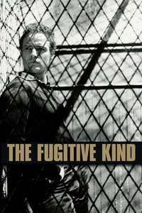 The Fugitive Kind - Poster