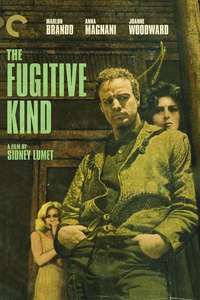 The Fugitive Kind - Poster