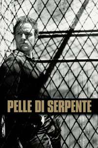 The Fugitive Kind - Poster