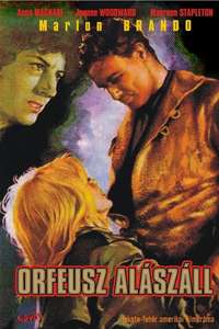 The Fugitive Kind - Poster