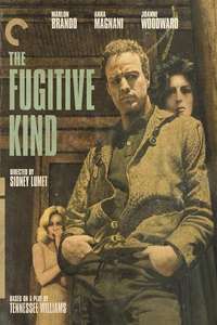 The Fugitive Kind - Poster