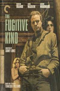 The Fugitive Kind - Poster