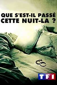 The Wrong Bed: Naked Pursuit - Poster