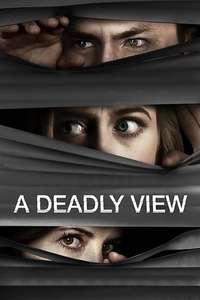A Deadly View - Poster