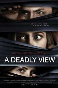 A Deadly View - Poster