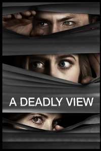 A Deadly View - Poster