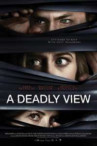 A Deadly View - Poster
