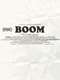 BOOM! A Film About the Sonics