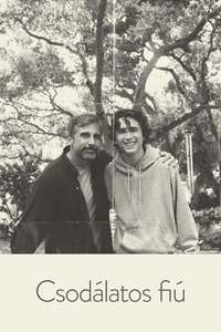 Beautiful Boy - Poster