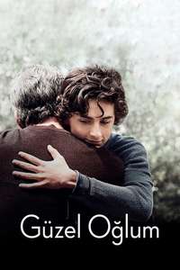Beautiful Boy - Poster