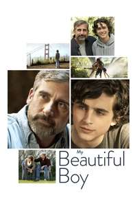 Beautiful Boy - Poster