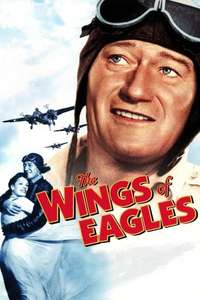 The Wings of Eagles - Poster