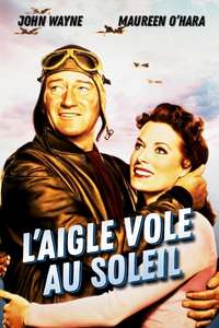 The Wings of Eagles - Poster
