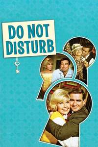 Do Not Disturb - Posters