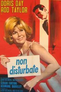 Do Not Disturb - Posters