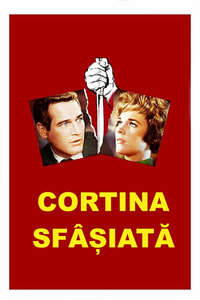 Torn Curtain - Poster