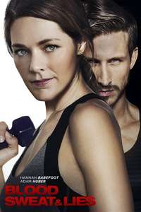 Blood  Sweat and Lies - Poster