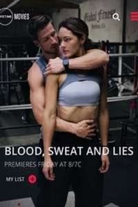 Blood  Sweat and Lies - Poster