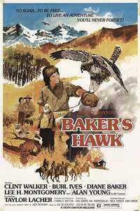 Baker's Hawk - Posters