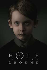 The Hole in the Ground - Poster