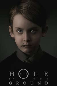 The Hole in the Ground - Poster