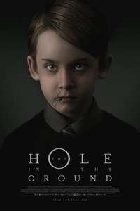 The Hole in the Ground - Poster