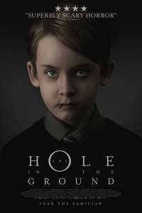 The Hole in the Ground - Poster