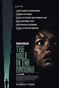 The Hole in the Ground - Poster