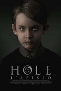 The Hole in the Ground - Poster