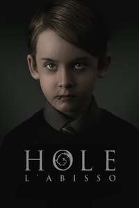 The Hole in the Ground - Poster