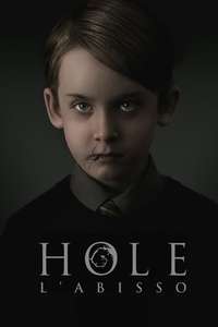 The Hole in the Ground - Poster