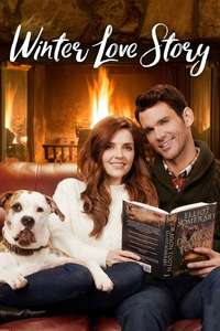 Winter Love Story - Poster