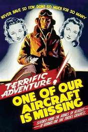 One of Our Aircraft Is Missing