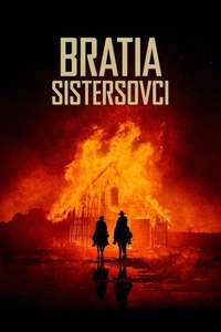 The Sisters Brothers - Poster