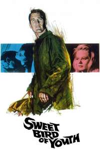 Sweet Bird of Youth - Poster