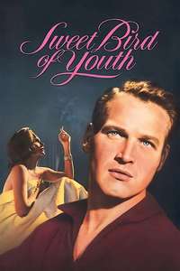 Sweet Bird of Youth - Poster