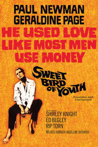 Sweet Bird of Youth - Poster