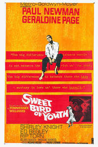 Sweet Bird of Youth - Poster