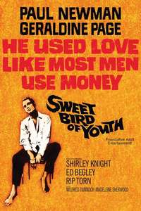 Sweet Bird of Youth - Poster