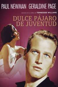 Sweet Bird of Youth - Poster